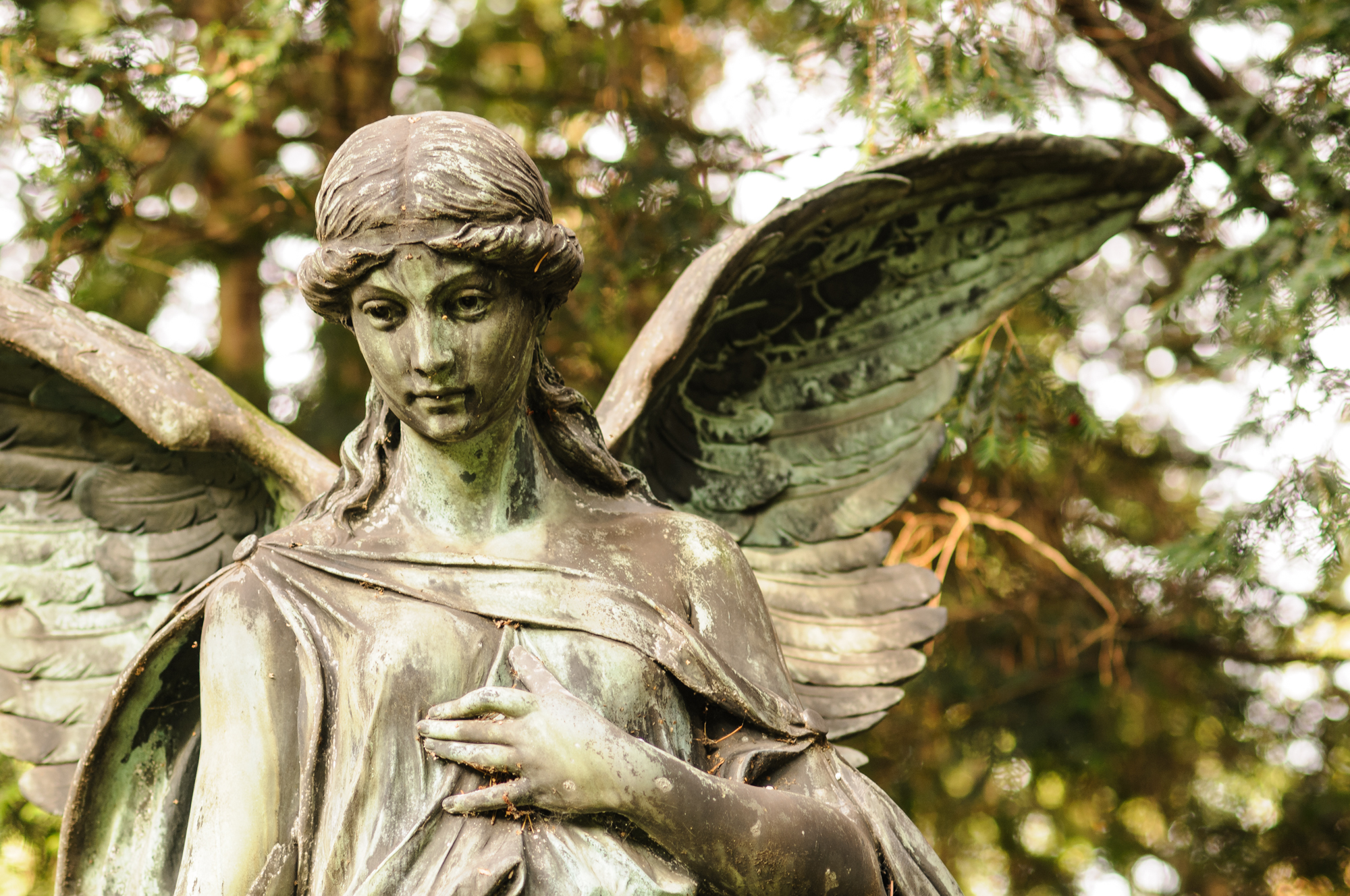 Schmerz – Trauer – Hoffnung. Eine Predigtreihe zum Ende des Kirchenjahres.