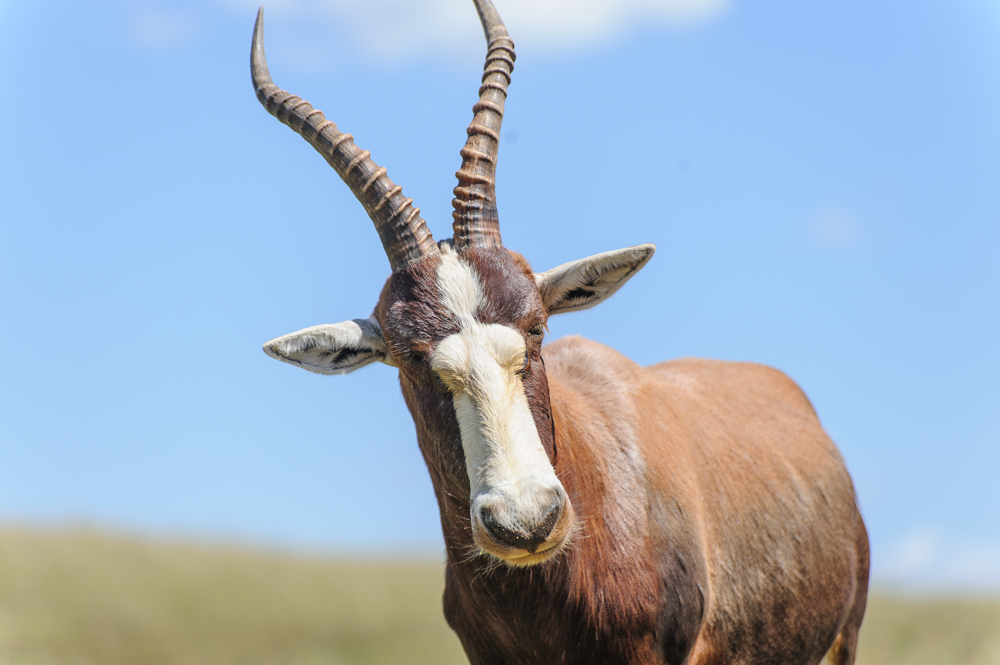 Namibia – Land der roten Stille. Ein Lichtbildervortrag am Mittwoch, den 16. September 2026